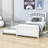 Comyns Twin Platform Bed with Trundle-1593271445