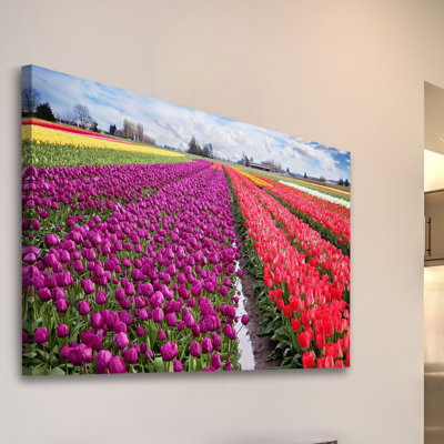 Skagit Valley Tulips by Sylvia Cook - Wrapped Canvas Print