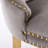 Contemporary Velvet Upholstered Dining Chair , 2 Units, Gray With Golden Stainless Steel Plating Legs And Dazzling Nailhead Trim Accessory, Sw1601gy Modern 2 Enchanting Trim,-857982687-857982674