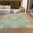 Machine Washable Indoor/Outdoor Claudian ACN1677 Aloe Rug-104372797
