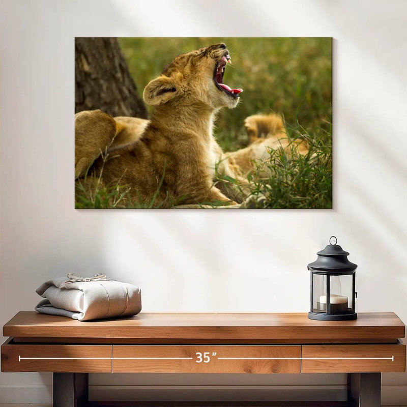Crowle Sleepy Lion Cub, H 16 po x l 24 po