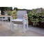 Around Dining Armchair-1329821639