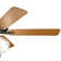 Odder 52'' Ceiling Fan