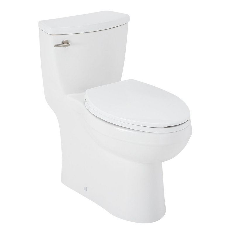 White Vitreous China Elongated One-Piece Toilet with Brushed Nickel Lever