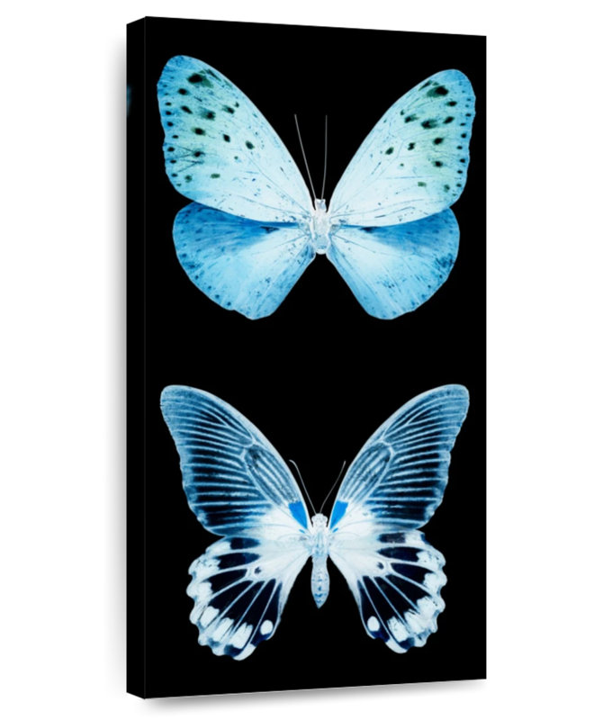 Miss Butterfly X-Ray - noir, H 30 po x l 15 po