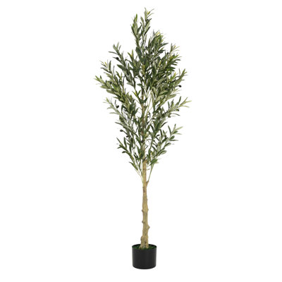 Olive artificielle 6 pi avec pot - Embellisseur d'entrée classique, sans tracas d'entretien, personnalisez votre espace intérieur, l 30 po x P 71 po, instructions d'assemblage fournies dans la verdure pour la vie