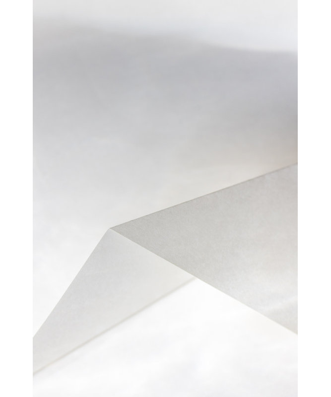 Ivy Bronx Paper Studies 19 | Wayfair.co.uk