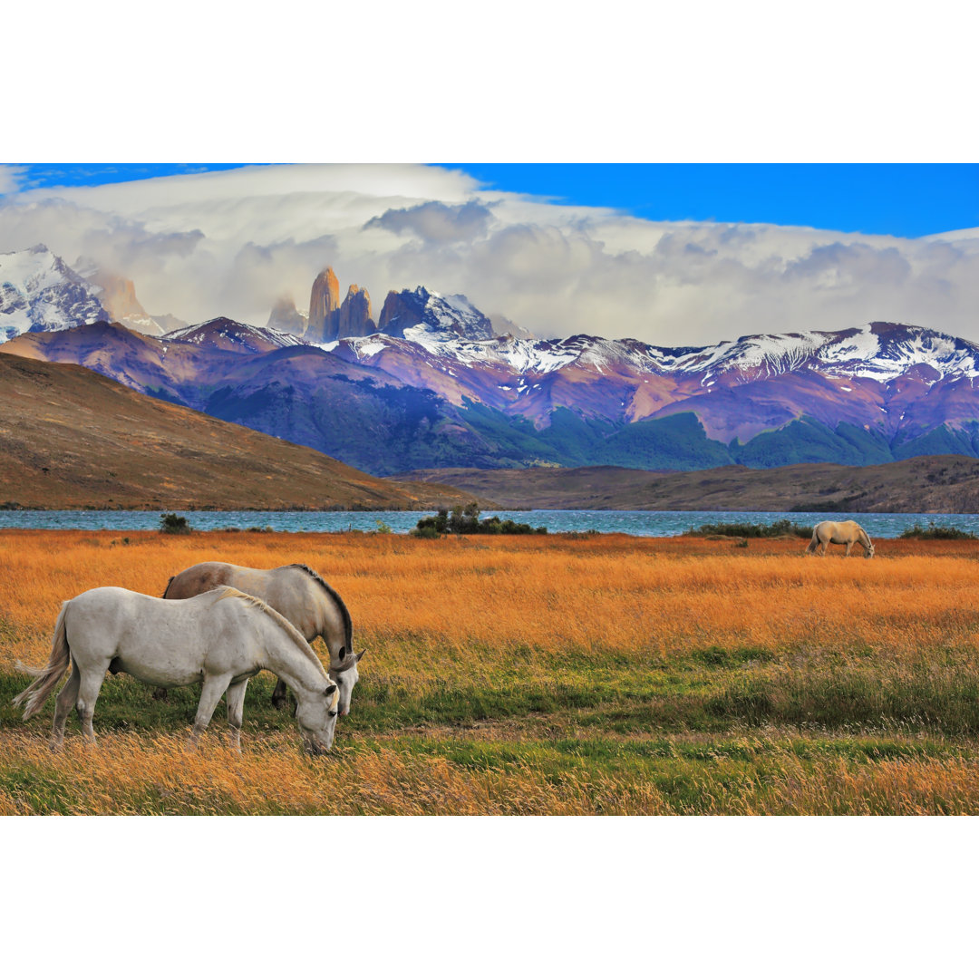 Leinwandbild Die Landschaft im Park Torres Del Paine