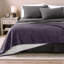 Couverture Sherpa-1762856884-1864404340