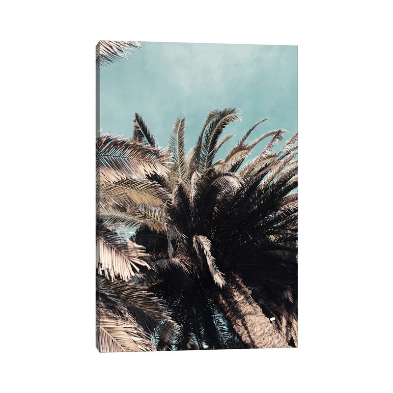 Treetops 1 Piece Wrapped Canvas Wall Art, 20.32 cm H x 30.48 cm W
