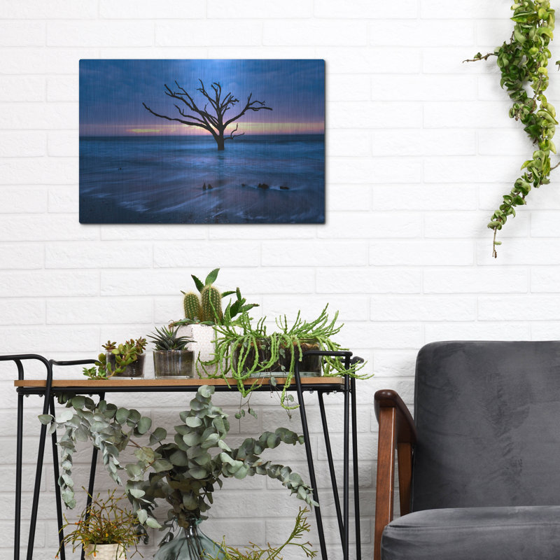 Art mural en métal luxueux «All That Remains» par Danny Head, 16 po x 12 po, H 12 po x l 16 po