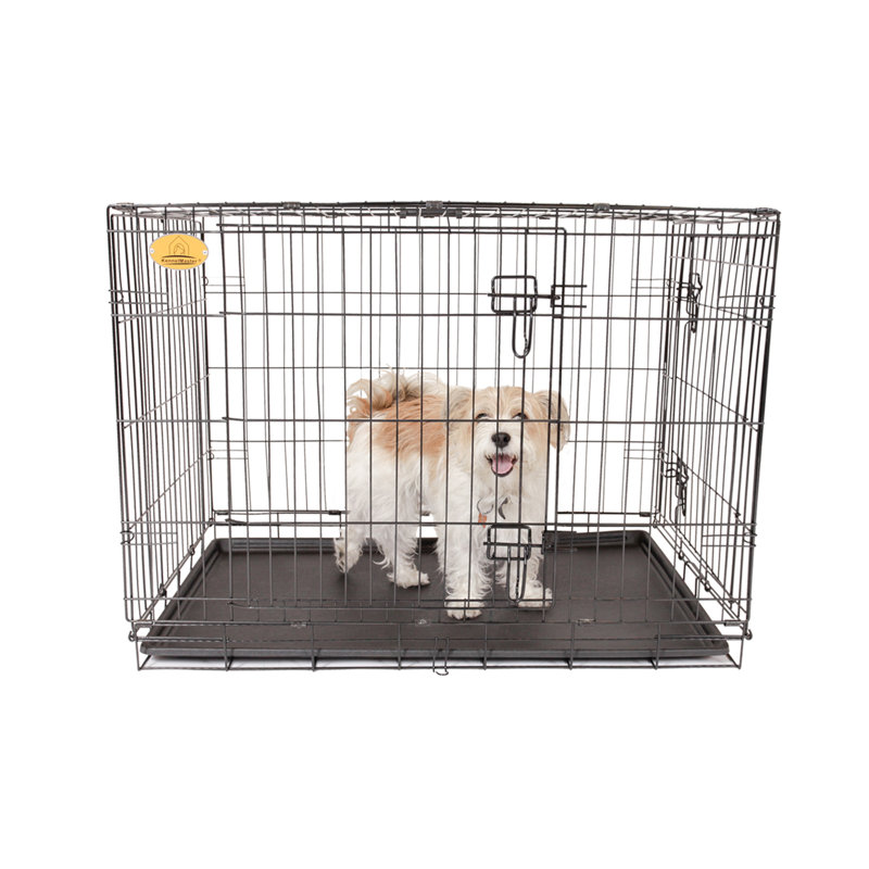Cage pour animal Ridenour, Moyen (H 27 po x l 23 po x P 36 po)