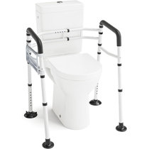 https://assets.wfcdn.com/im/68196689/resize-h210-w210%5Ecompr-r85/2602/260281225/Toilet+Safety+Frame.jpg