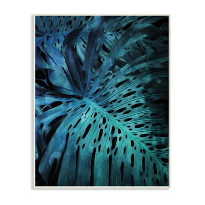 Feuilles de palmier tropicales bleues