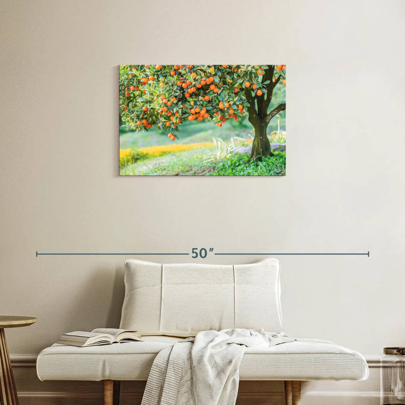 Harnek Orange Tree, 20" H x 30" W
