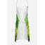 Iris du Tennessee en tablier aquarelle-470388978