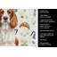 Serviette de cuisine Coffee Bar-1234934747