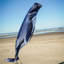 Baleine à bosse à bosse 48 po