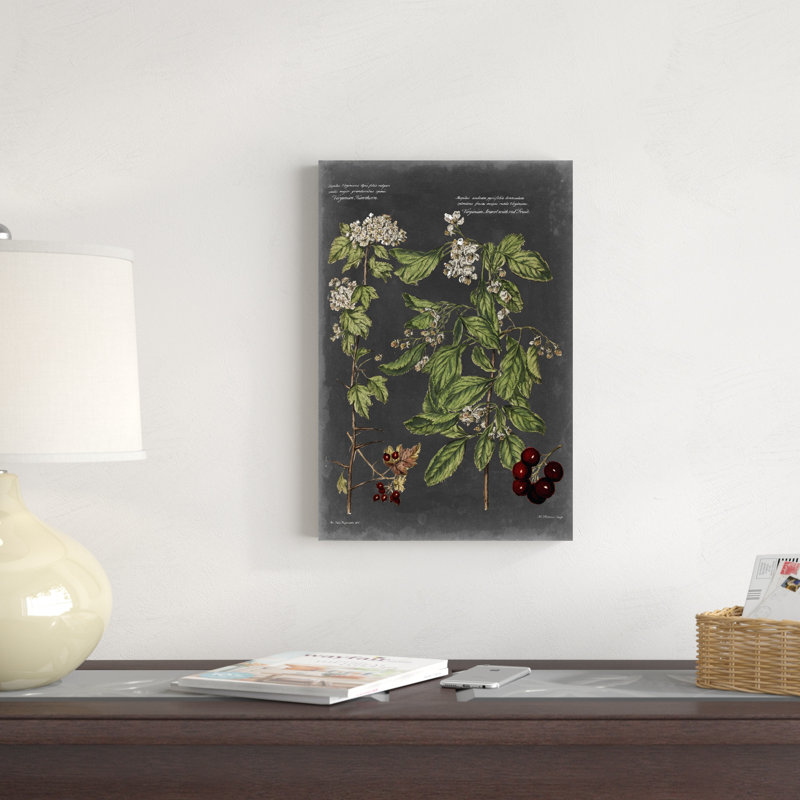 Tableau botanique rétro VI, H 18 po x l 12 po x P 1,25 po