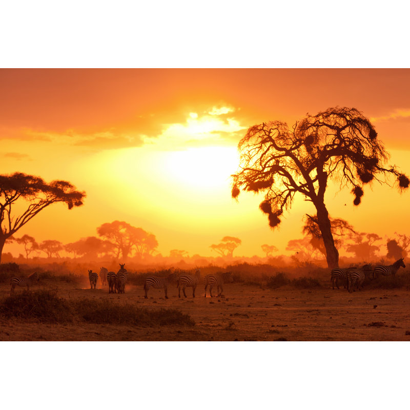African Sunset by Ivanmateev - Wrapped Canvas Print, 81cm H x 122cm W x 3.8cm D