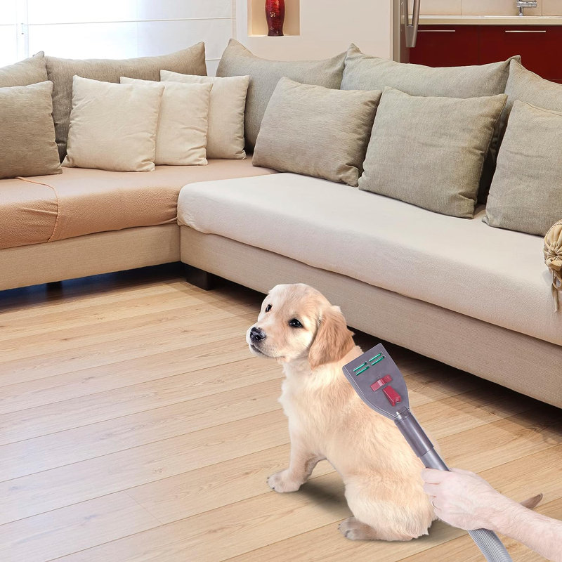Nécessaire d'aspirateur pour chien