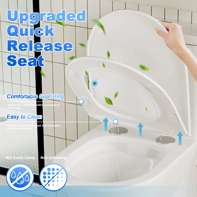 1.1/1.6 GPF Dual Flush One-Piece Toilet With ADA 17" Comfort Height, Rimless Bowl & Soft Close Seat, Gloss White