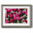 " Looks Like Spring "-733225265-733225271