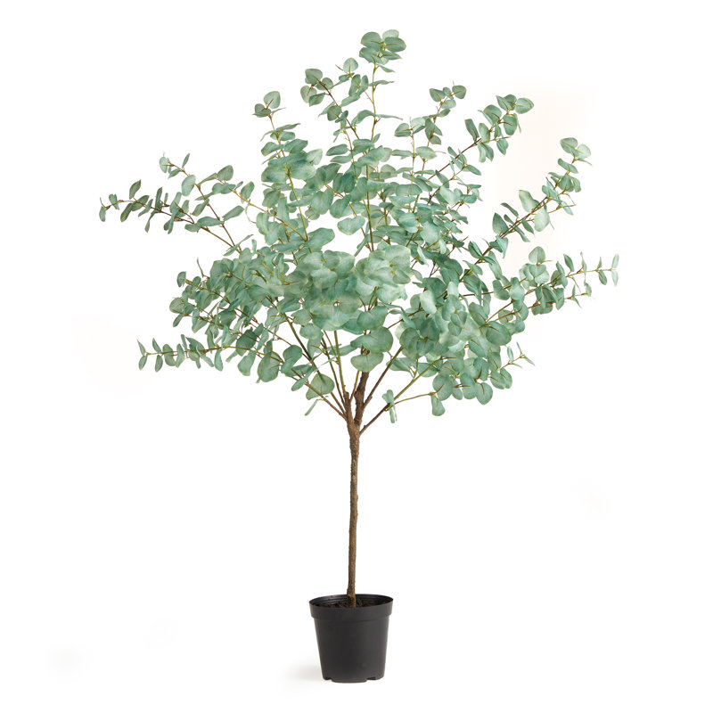 Faux Eucalyptus Tree in Pot
