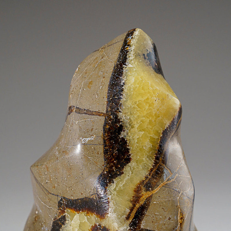 Septarian Crystal