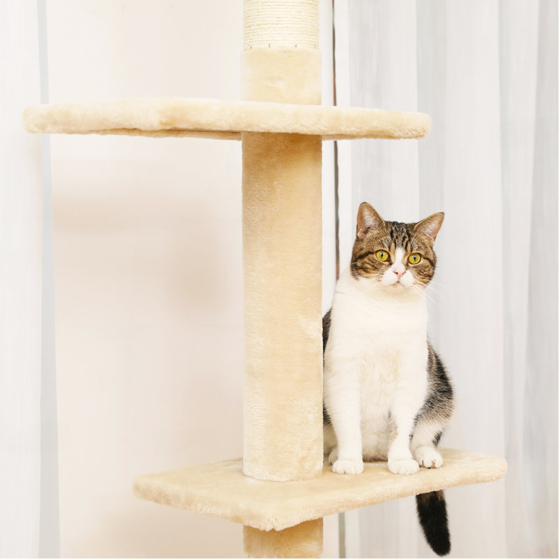 Tour pour chat interactive à 5 niveaux, Beige