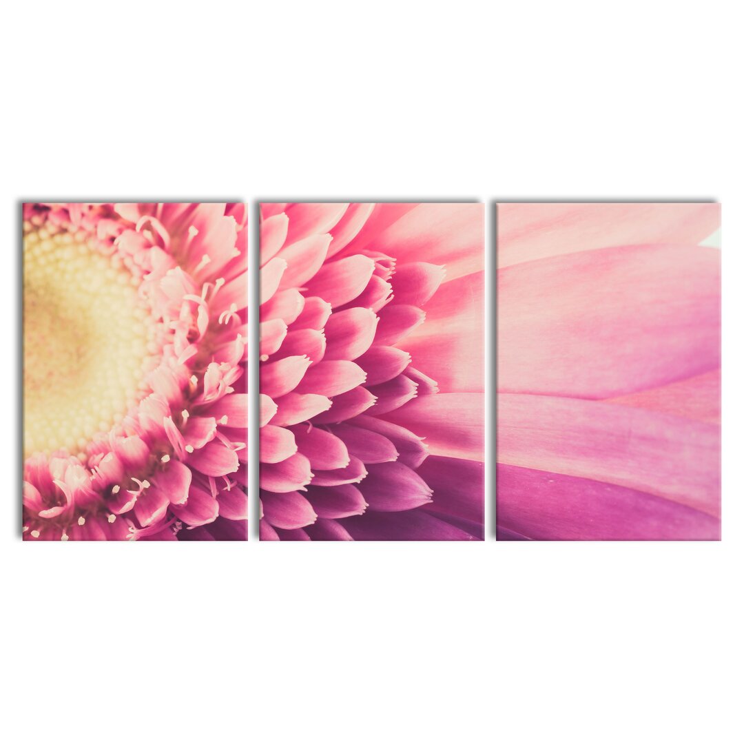 3-tlg. Leinwandbilder-Set Wunderschöne Gerbera Blüte