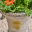 Jardinière d'extérieur-1071686833