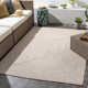 Leroux Beige Indoor/Outdoor Rug