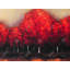 Napperon rouge rouge foncé