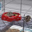 Hamster Cage