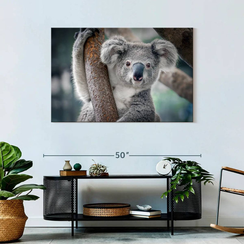 Brampt Happy Koala, 30" H x 45" W