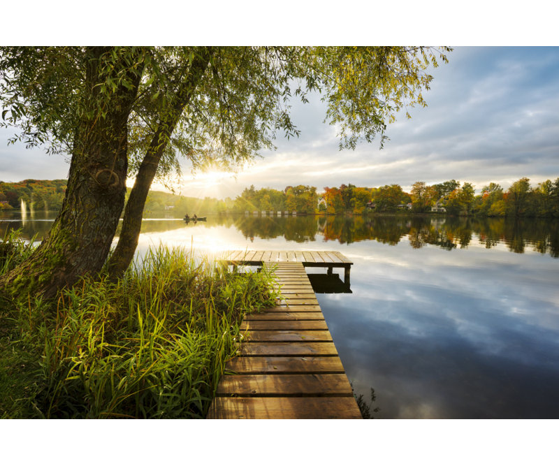 1 Piece Wrapped Canvas Wall Art