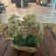 Customer photo 3 of 5