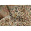 Tapis traditionnel rétro 8 x 8