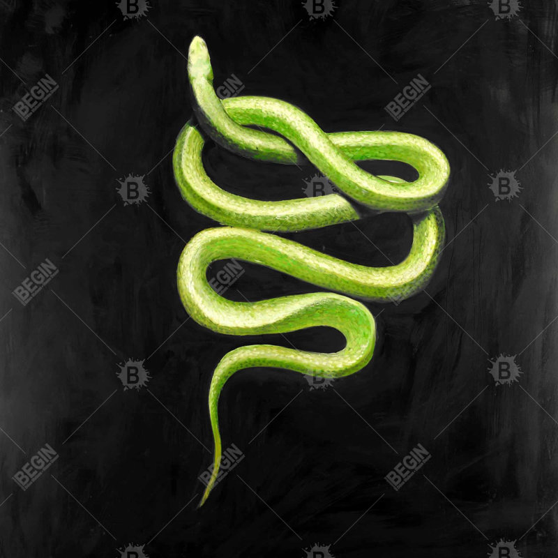 Toile de reptile vert avec toile - chambre à coucher, art mural, décoration intérieure