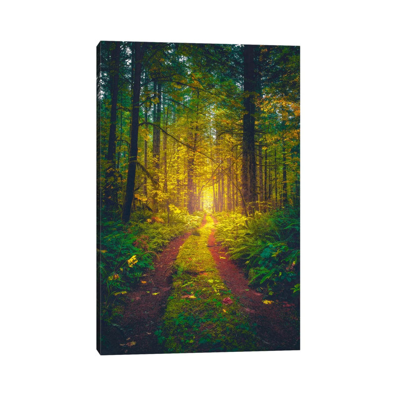 The Forest Of Dreams by Zach Doehler - Print on Canvas, 20.32 cm H x 30.48 cm W, Wrapped Canvas