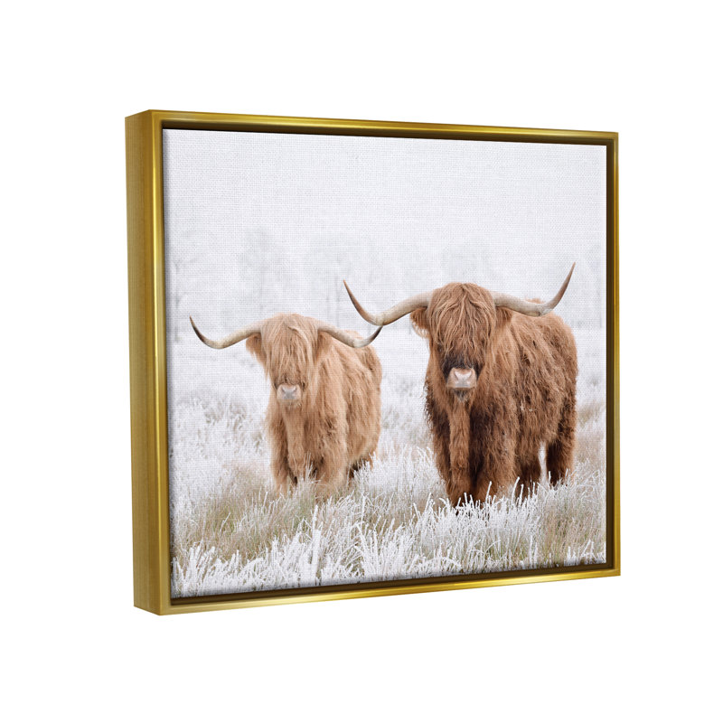 Vaches Longhorn dans la neige, Cadre flottant doré, H 17 po x l 21 po x P 1,7 po