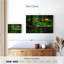 Ruisseau Alvord Willamette National Forest-107718776