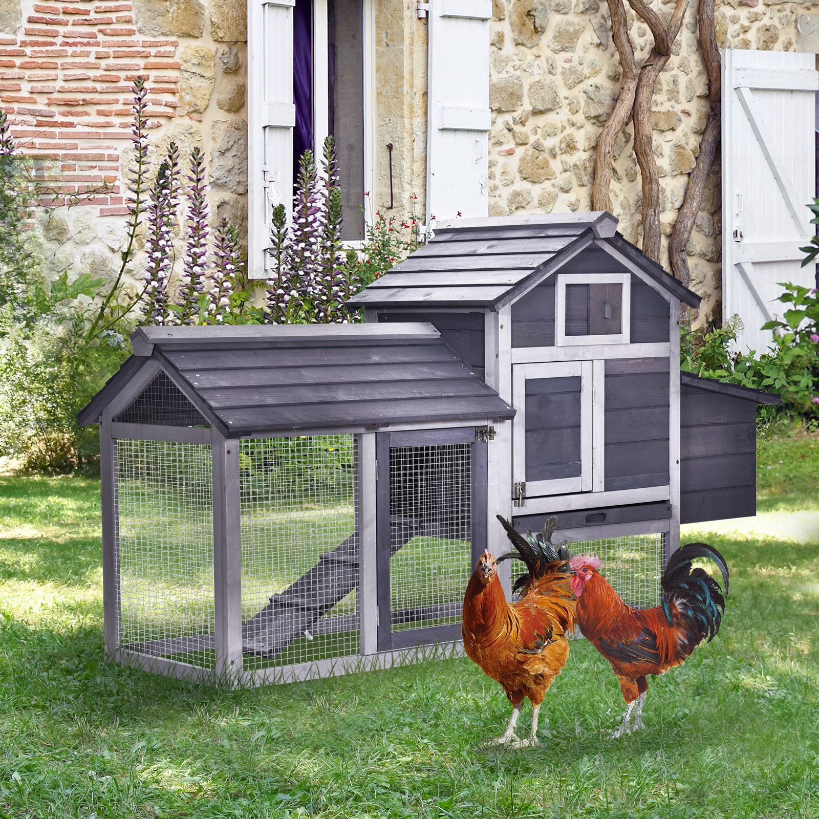 Tucker Murphy Pet™ Diego Enclosed Outdoor Backyard Chicken Coop With