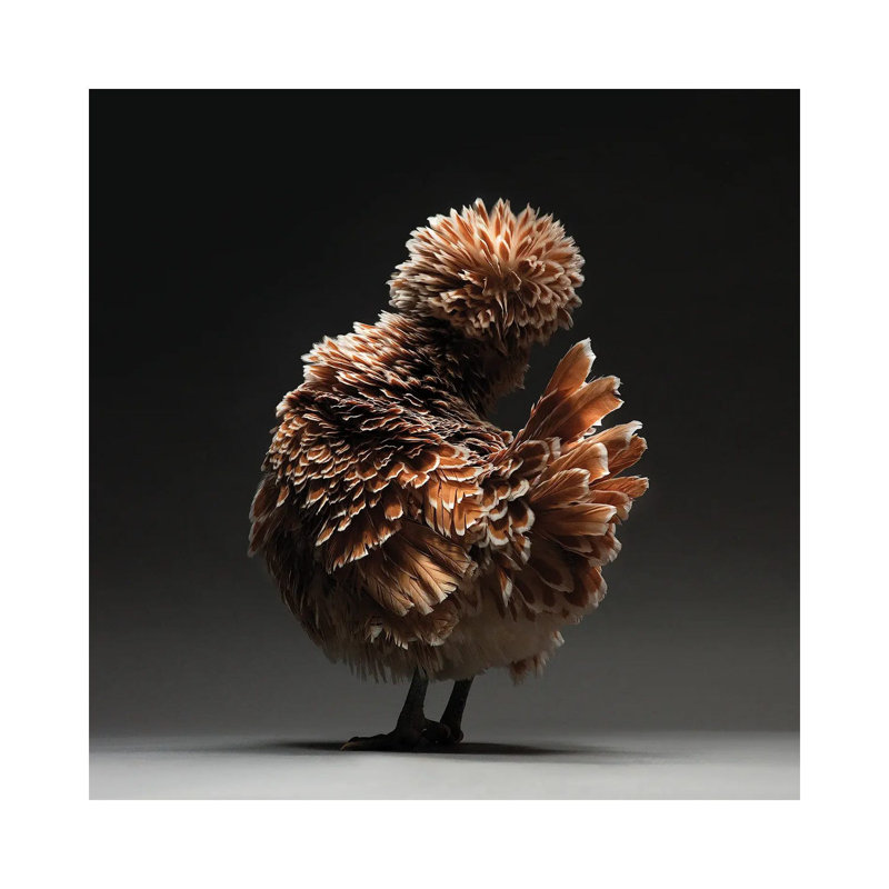 Padovana by CHICken - Wrapped Canvas Print, 66.04 cm H x 66.04 cm W x 1.91 cm D