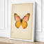 Centered Butterfly Botanical - Wrapped Canvas-2019608675-2019608684