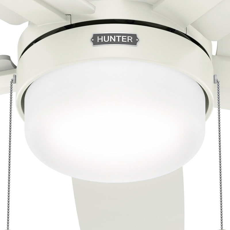 Ventilateur de plafond à profil bas 52 pouces avec lumières et chaînes à tirer Hunter, Blanc, Blanc