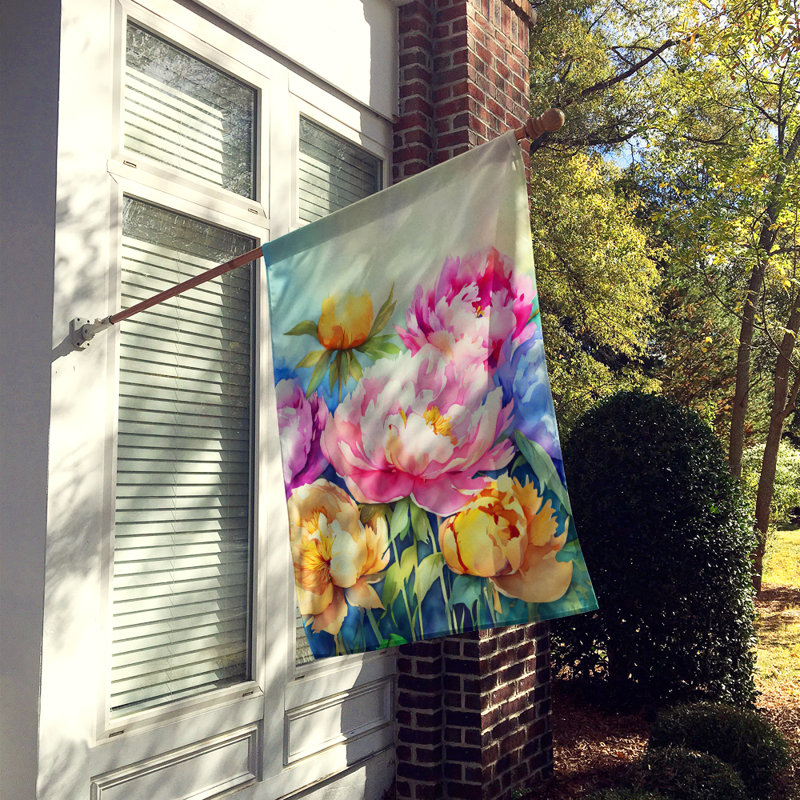 Pivoines dans un drapeau de maison aquarelle