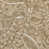 Paisley Brown Cotton