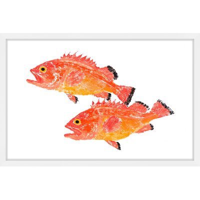 Yelloweye Rockfish' Framed Painting Print -  Marmont Hill, MH-MICPAN-09-NWFP-18